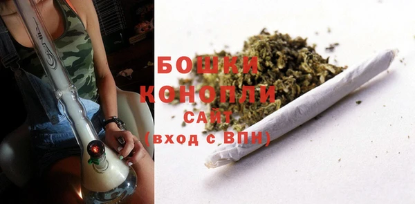 PSILOCYBIN Алексеевка